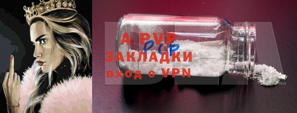индика Белоозёрский