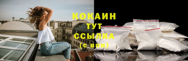 молекула духа Беломорск
