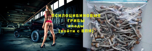индика Белоозёрский