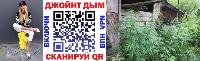 кракен ТОР  Кингисепп  Канабис ГИДРОПОН 